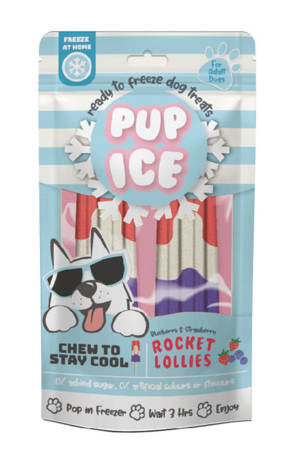Spot Pup Ice Dog Chew Treat