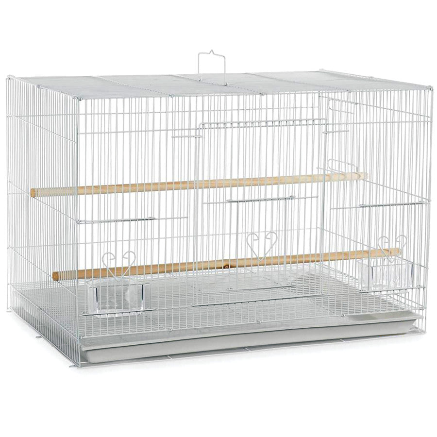 A & E Cages Flight Cage in Color Retail Box