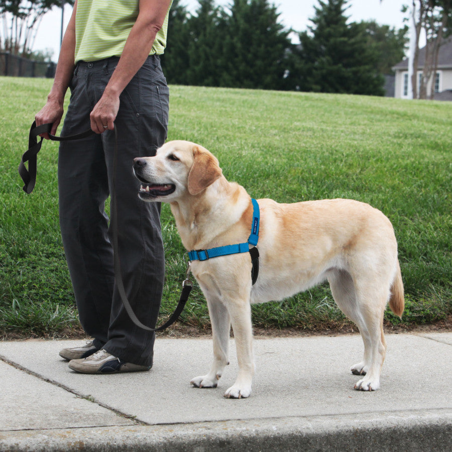 PetSafe Deluxe Easy Walk Steel Dog Harness