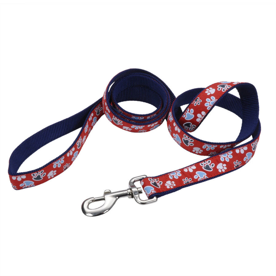 Ribbon Nylon Dog Leash