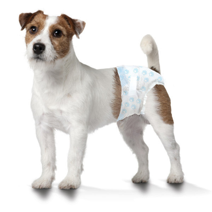 Four Paws Wee-Wee Disposable Dog Diapers