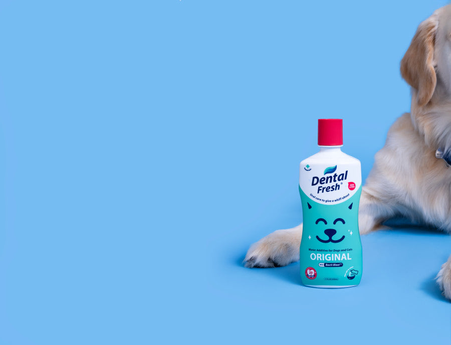 Synergy Labs Dental Fresh Water Additive Original Formula For Dogs & Cats