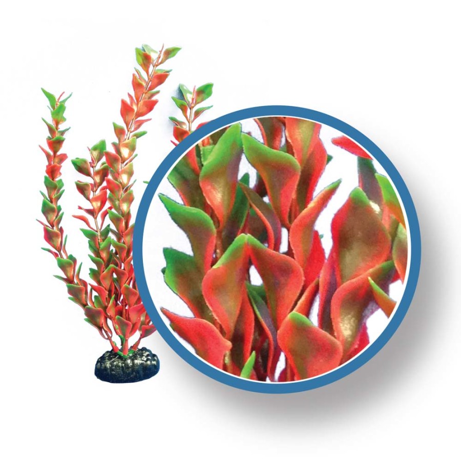 Weco Products Freshwater Pro Series Ludwigia Aquarium Plant
