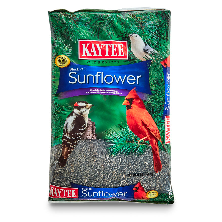 Kaytee Black Oil Sunflower Food