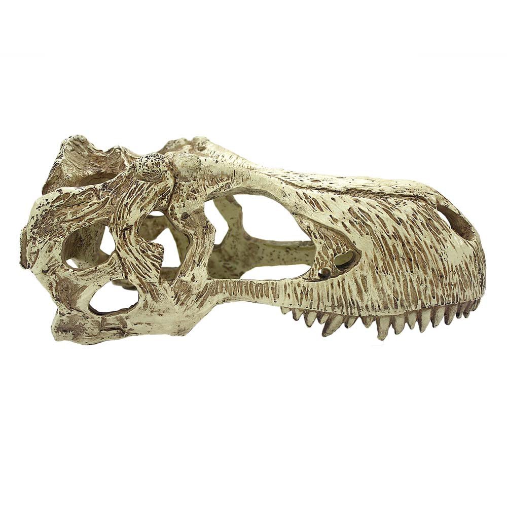 Komodo T-Rex Skull Reptile Hideout - Tan, 1ea/XL