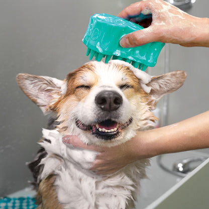 KONG ZoomGroom Bubbles Rubber Dog Grooming Brush