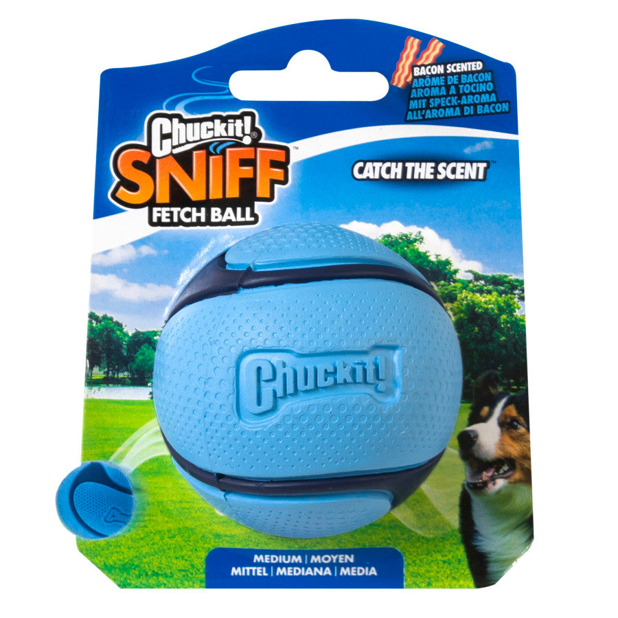 Chuckit! Fetch Sniff Ball Dog Toy