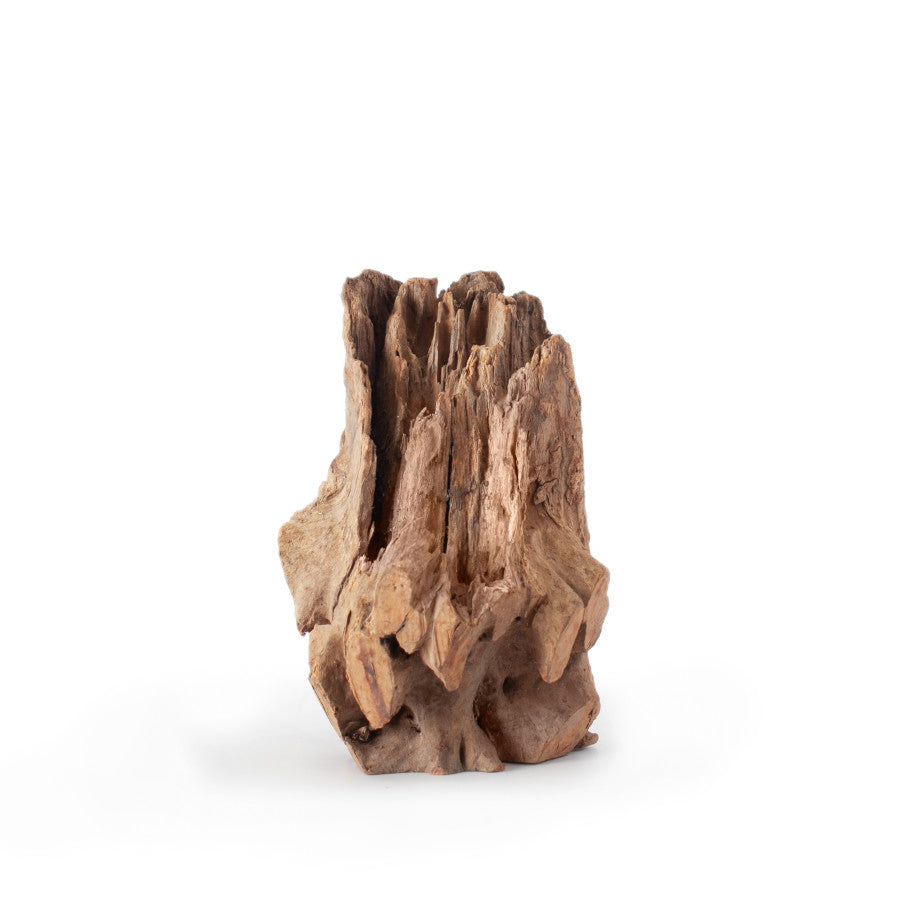 Galapagos Hollow Log Hide