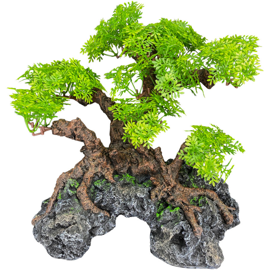 Komodo Bonsai Tree w/ Hide