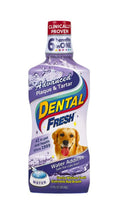 Synergy Labs Advanced Plaque and Tartar Liquid for Dogs