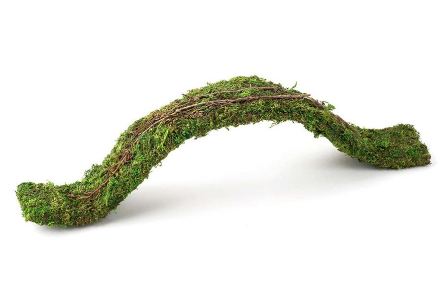 Galapagos Flexible Bridge Terrarium Ornament