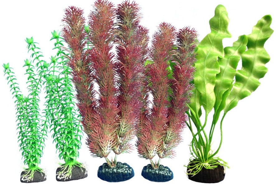 Weco Products Freshwater Aquarium Plant 108