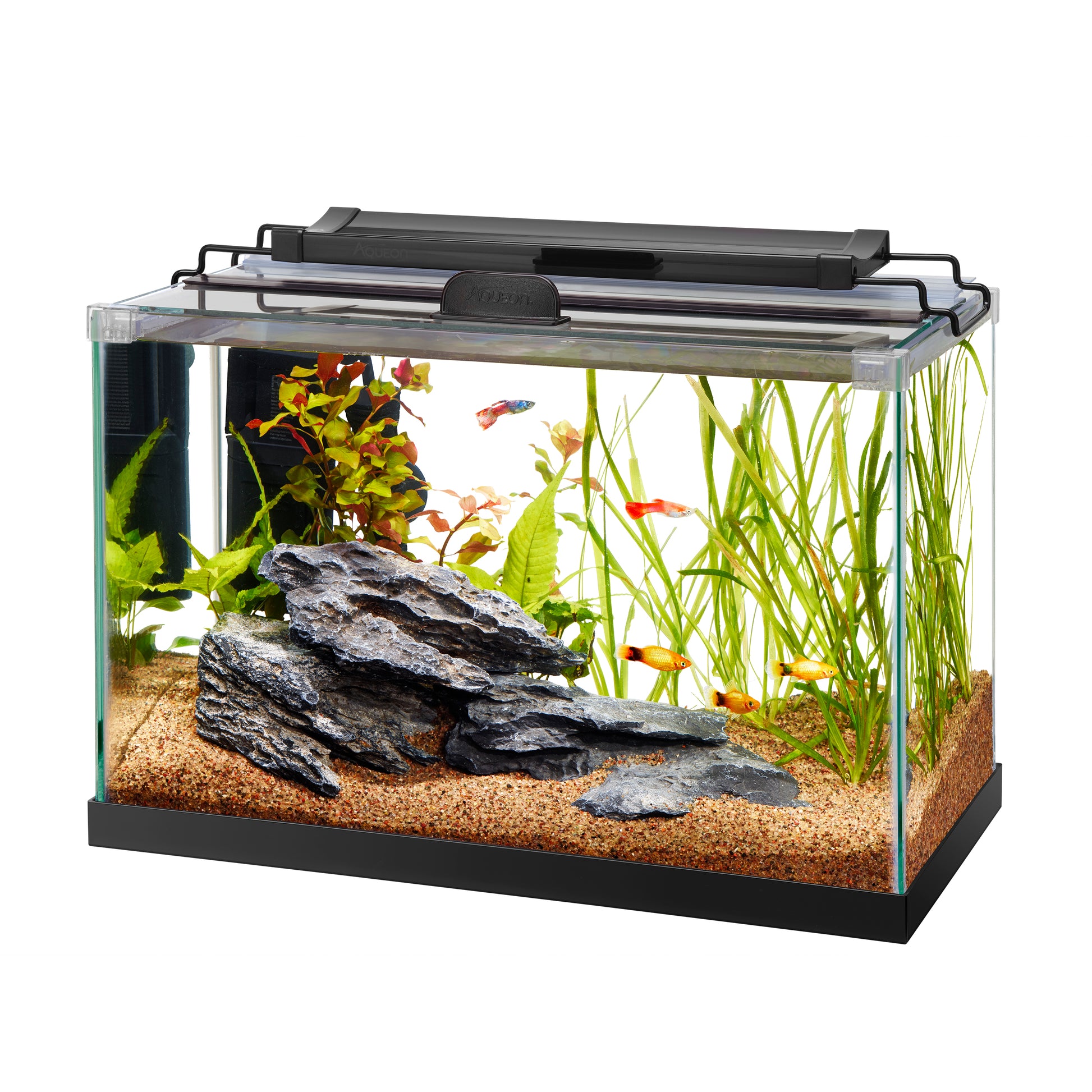 Aqueon Rimless Rectangle Aquarium - 5.5