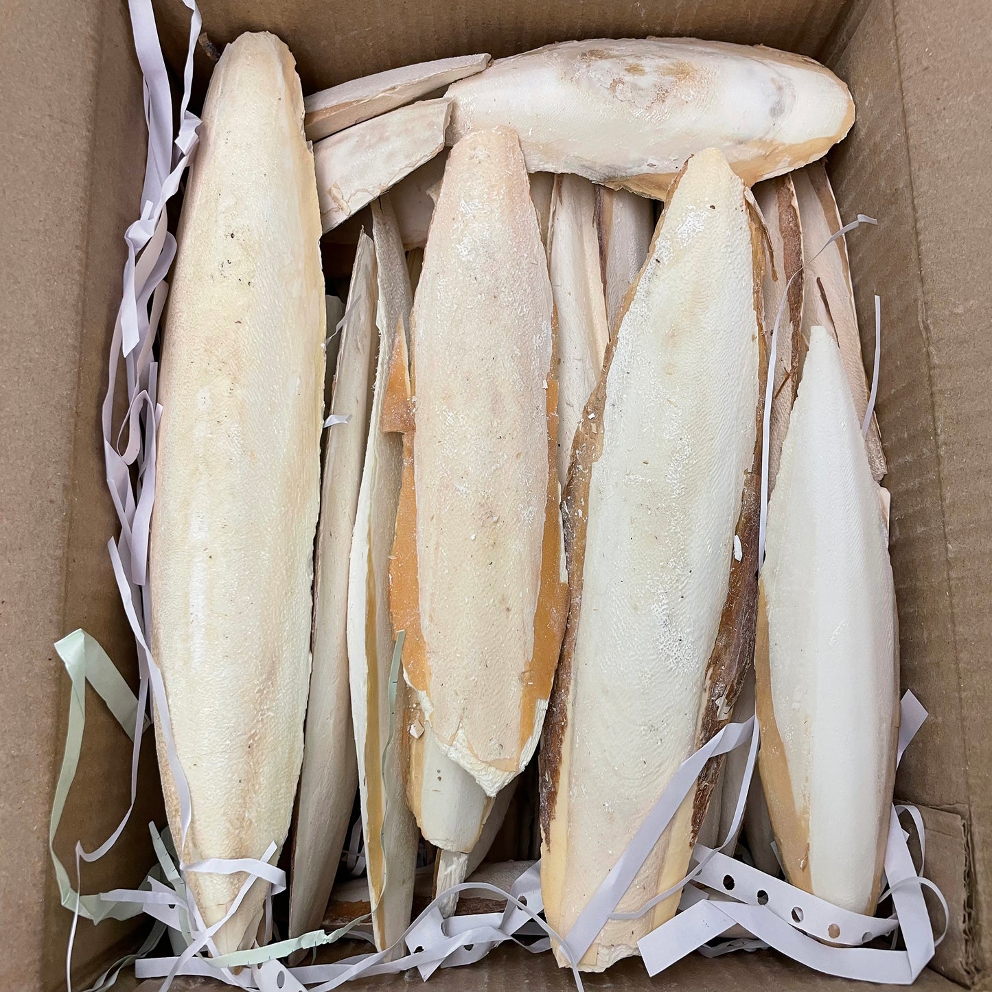 A and E Cages Cuttlebone Pieces Bulk Box