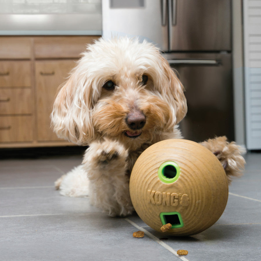 KONG Bamboo Treat Dispenser Dumbbell Dog Toy