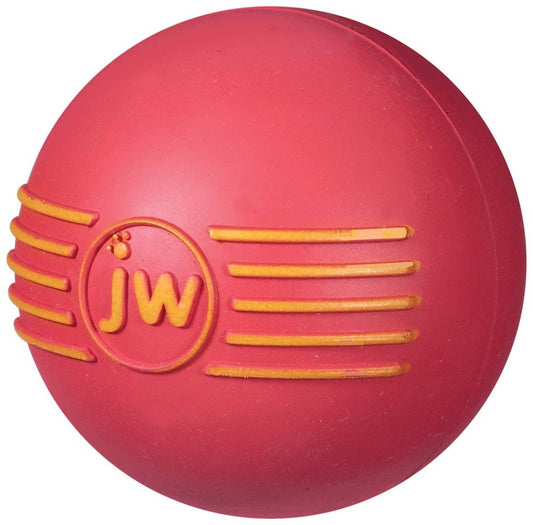 JW Pet iSqueak Ball Dog Toy