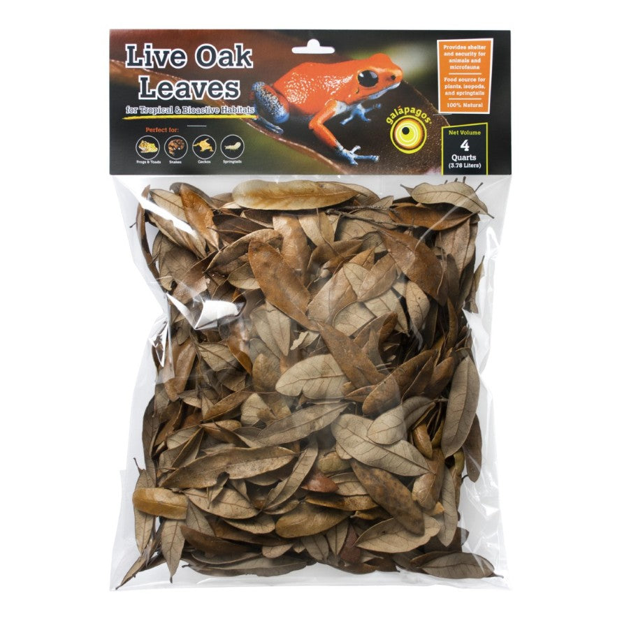 Galapagos Natural Live Oak Leaf Litter