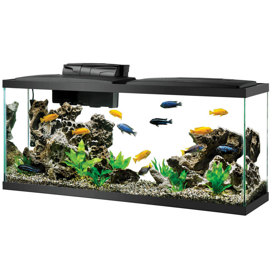 Aqueon Pre-Priced LED Aquarium Kit