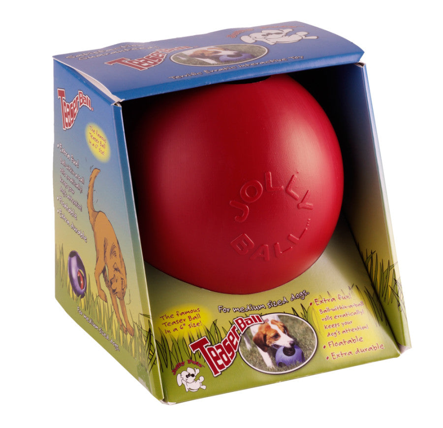 Jolly Pet Teaser Ball Dog Toy