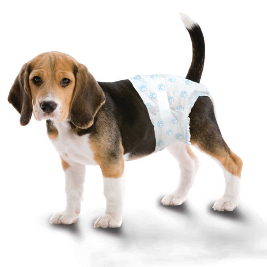 Four Paws Wee-Wee Disposable Dog Diapers