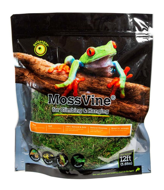 Galapagos MossVine for Hanging & Climbing
