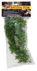 Zoo Med Natural Bush Congo Ivy Plants