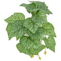 Komodo Standing Spotted Pothos Plant
