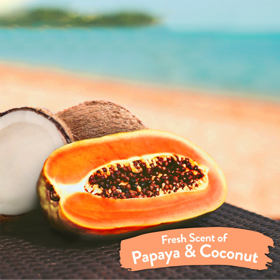 TropiClean Papaya & Coconut All-Purpose Pet Wipes.
