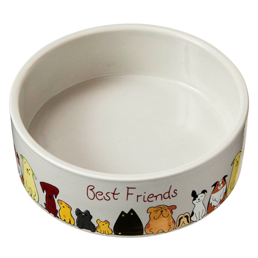 Spot Best Friends Dog Dish