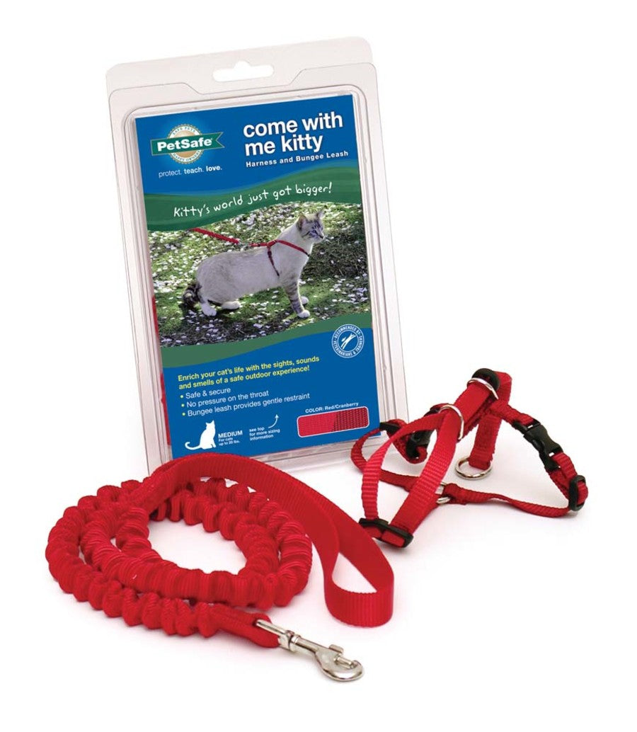 PetSafe Premier Come With Me Kitty Harness & Bungee Leash Combo