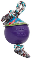 Jolly Pet Romp-n-Roll Dog Toy Durable