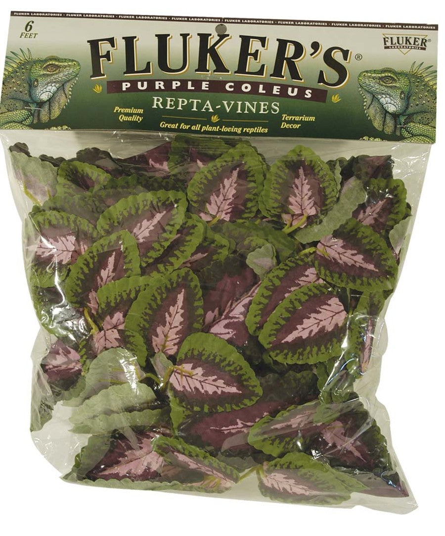 Fluker's Purple Coleus Repta-Vines