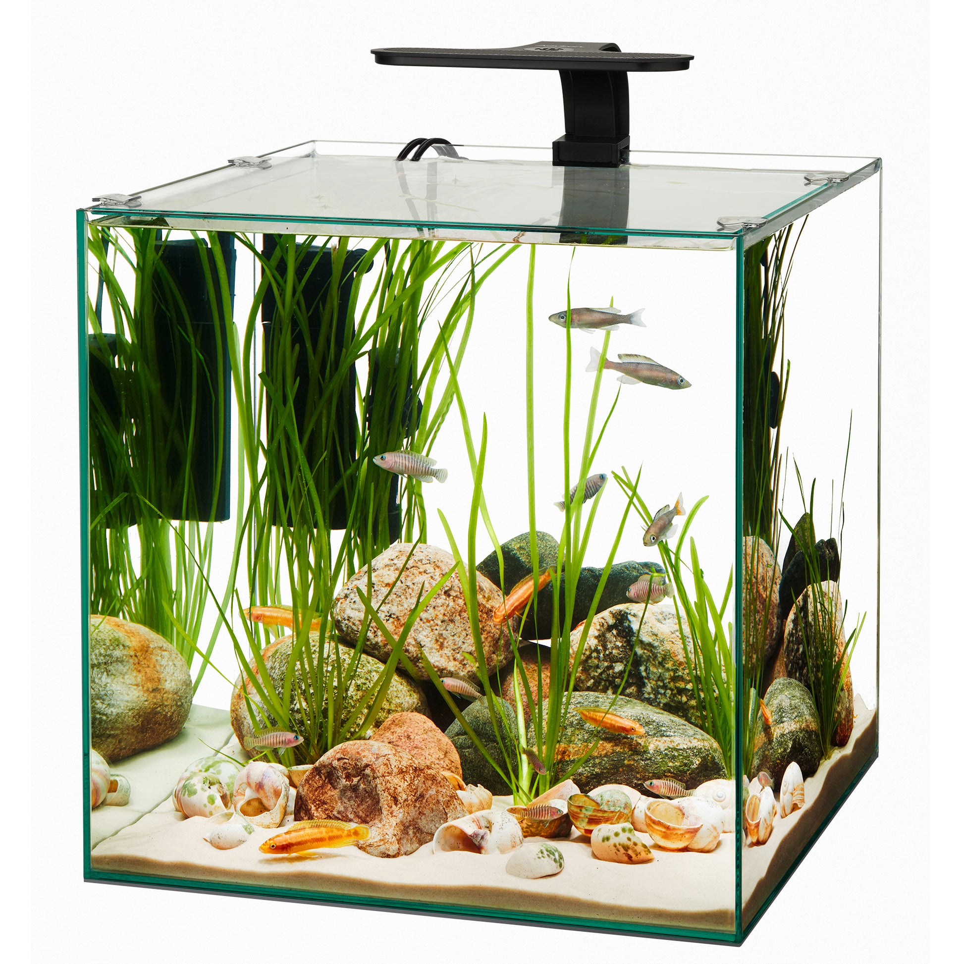 Aqueon Frameless Cube Aquarium - 14