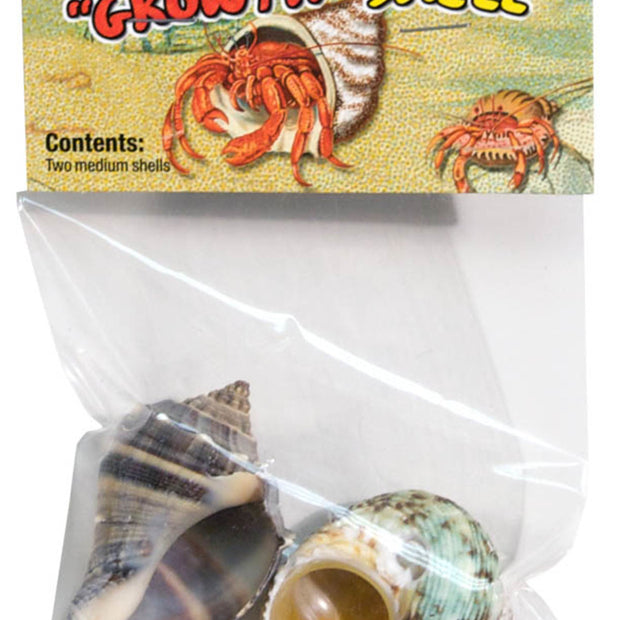 Zoo Med Hermit Crab Growth Shell